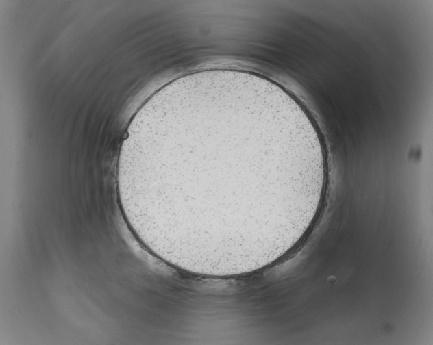 X0000112361049200909241121