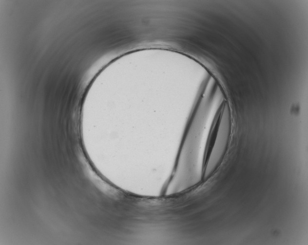 X0000112361054200909241121