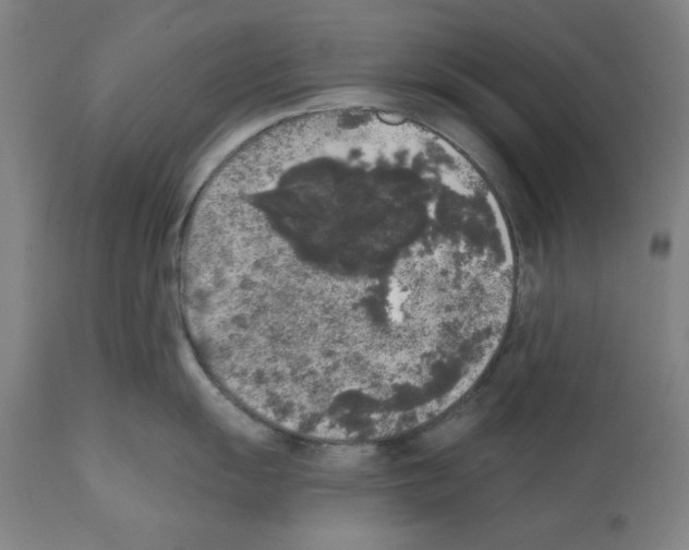X0000112361055200909241121