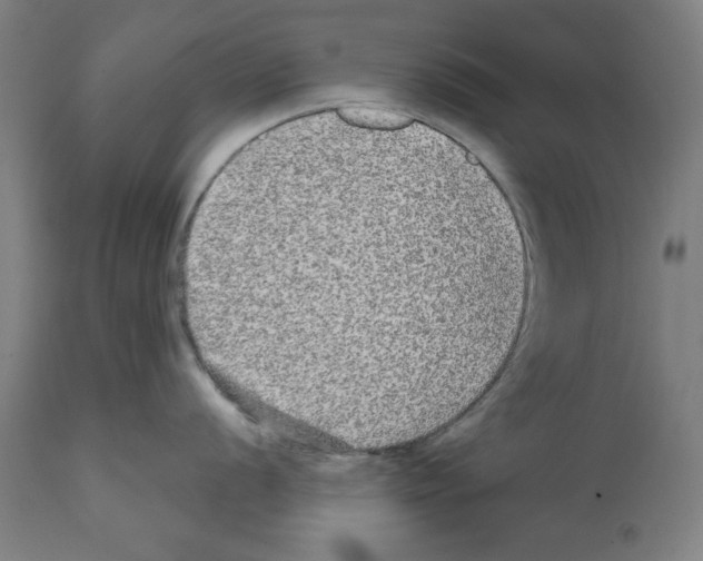 X0000112361056200909241121