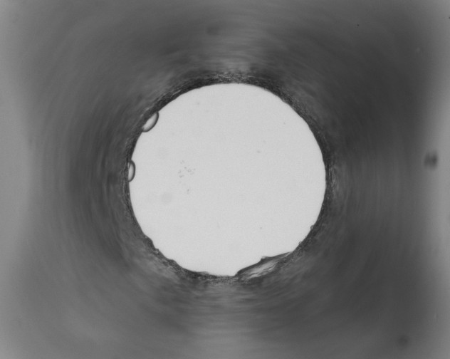 X0000112361057200909241121