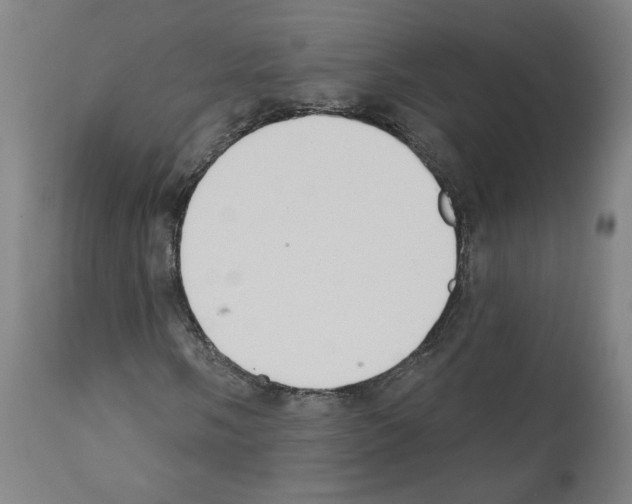 X0000112361058200909241121