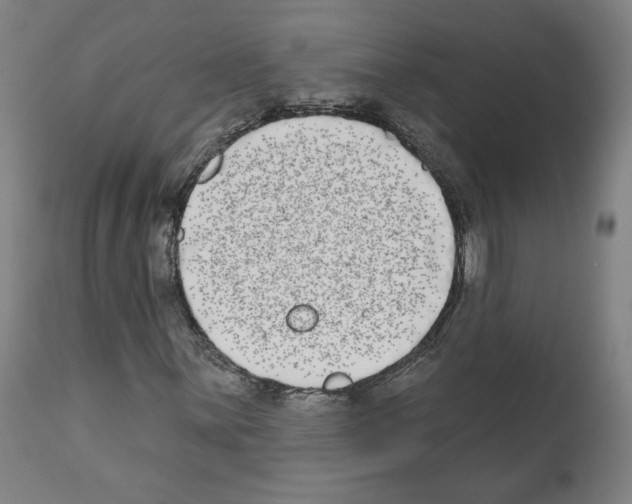 X0000112361059200909241121