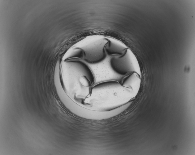 X0000112361060200909241121