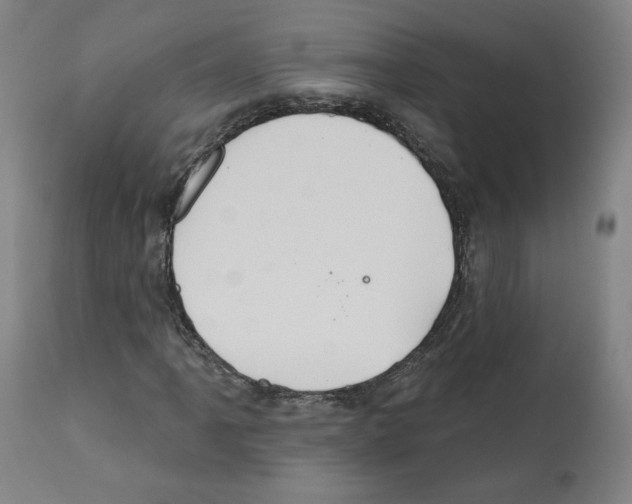 X0000112361061200909241121