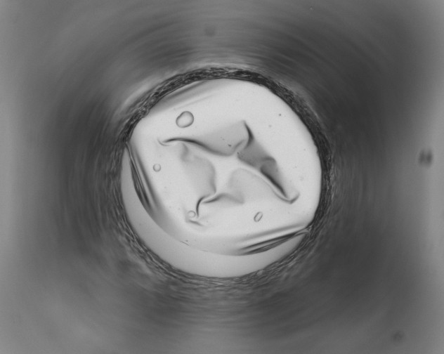X0000112361064200909241120