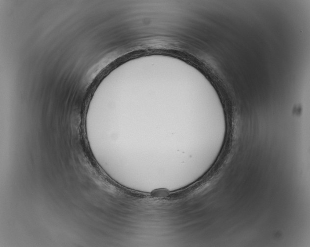X0000112361065200909241120