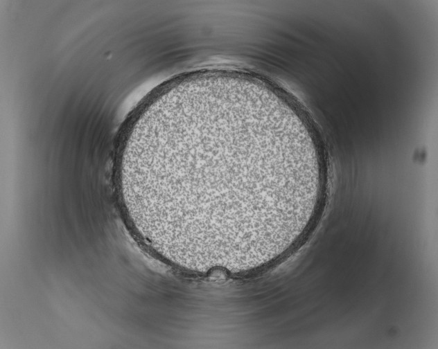 X0000112361066200909241120