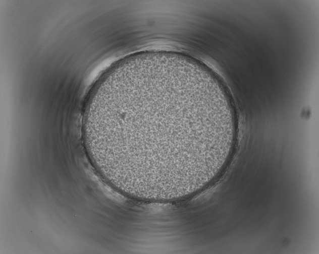 X0000112361067200909241120