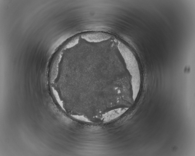 X0000112361071200909241120
