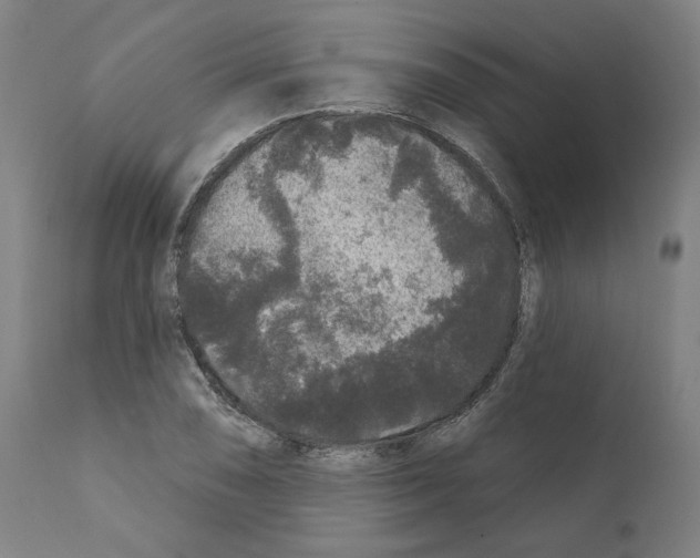 X0000112361074200909241120