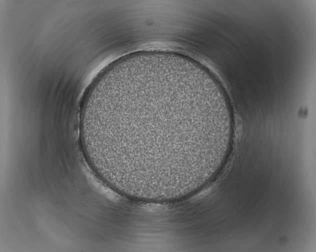 X0000112361075200909241120