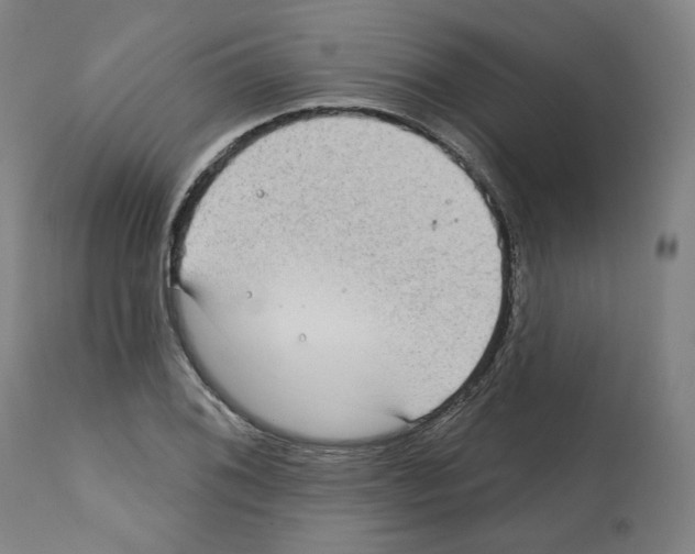 X0000112361076200909241120