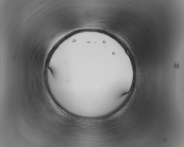 X0000112361077200909241120