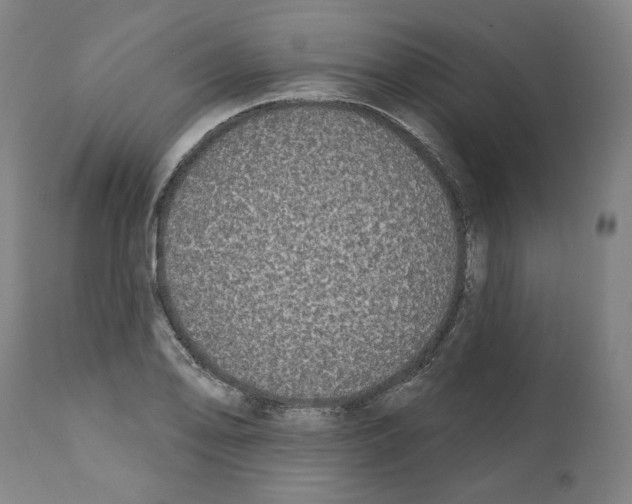 X0000112361078200909241120