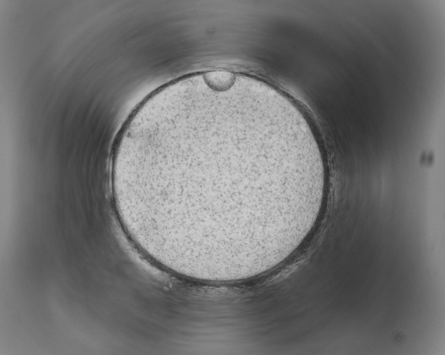 X0000112361079200909241120