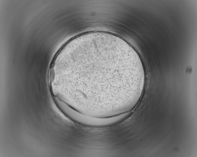 X0000112361084200909241120