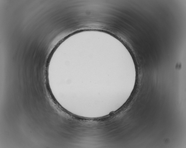 X0000112361085200909241120