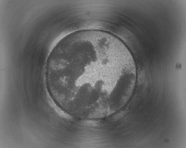 X0000112361086200909241120