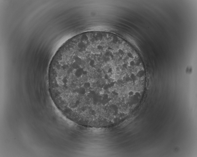X0000112361087200909241120