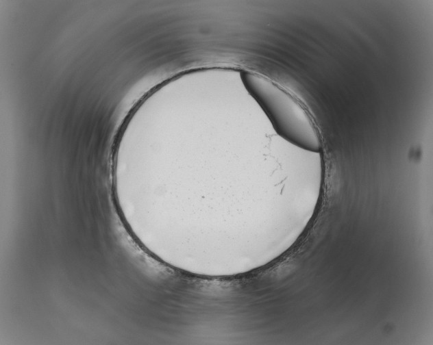 X0000112361088200909241120