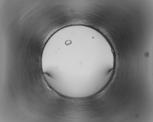 X0000112361089200909241120