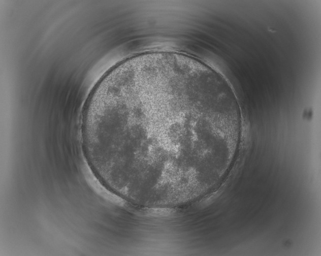 X0000112361090200909241120