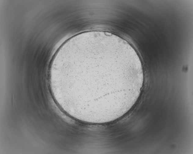 X0000112361091200909241120
