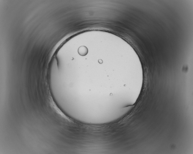 X0000112361092200909241120