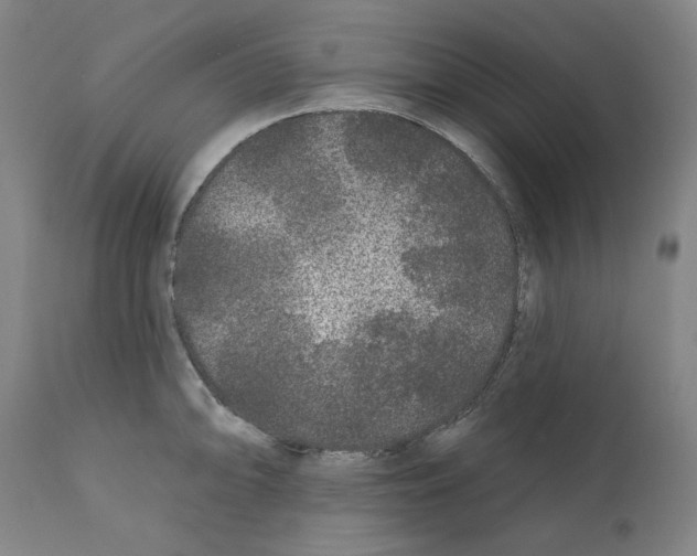 X0000112361094200909241120