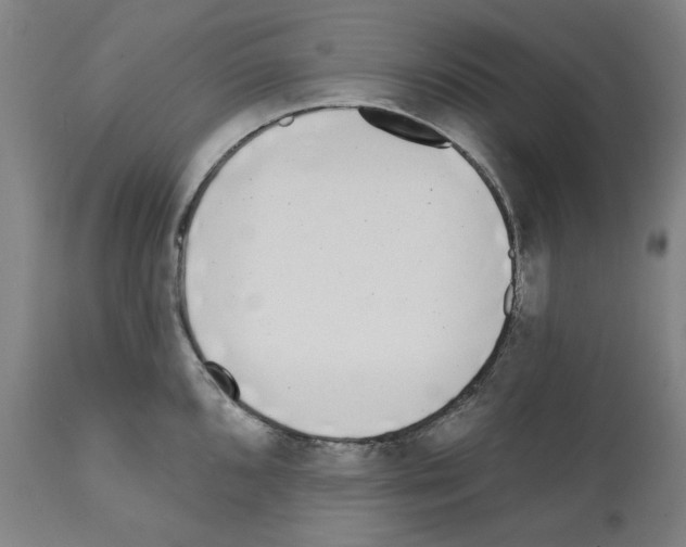 X0000112361096200909241120