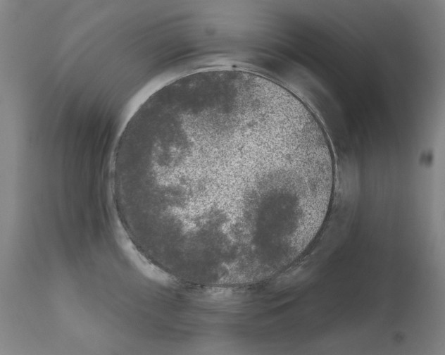 X0000112361098200909241120