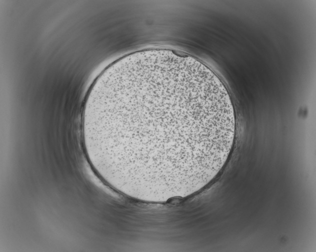 X0000112361100200909241120