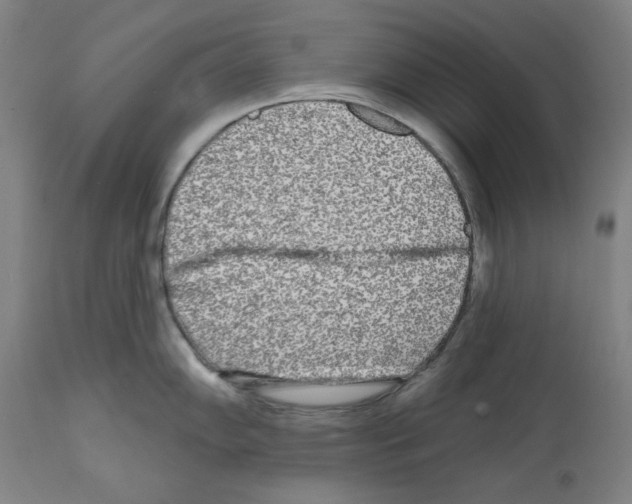 X0000112361102200909241120