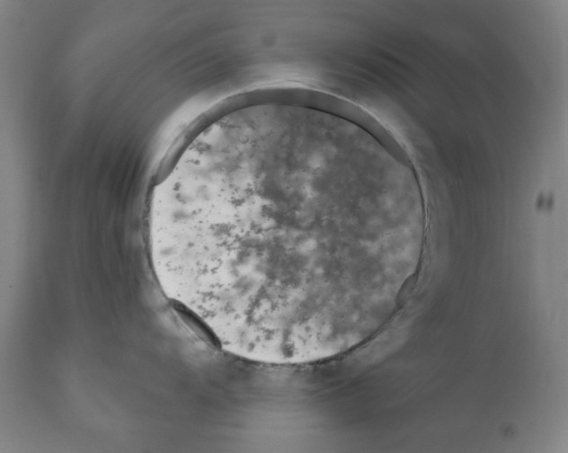X0000112361104200909241120