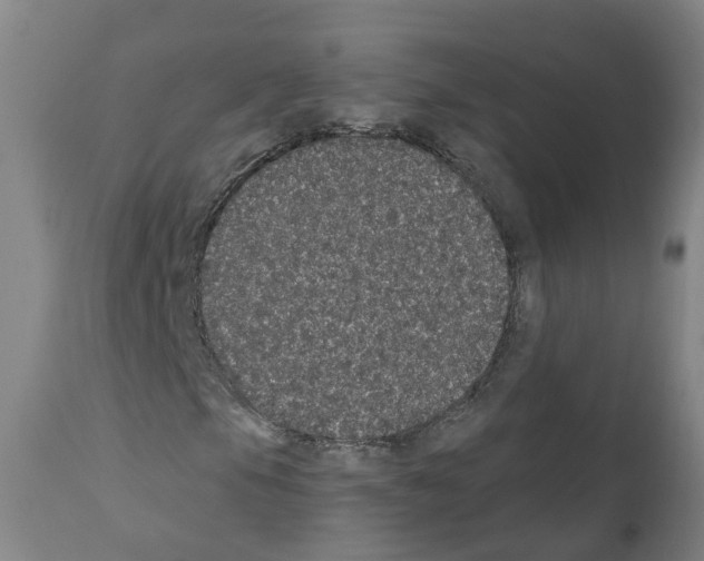 X0000112361105200909241119