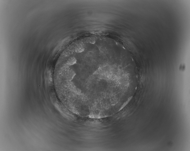 X0000112361106200909241119