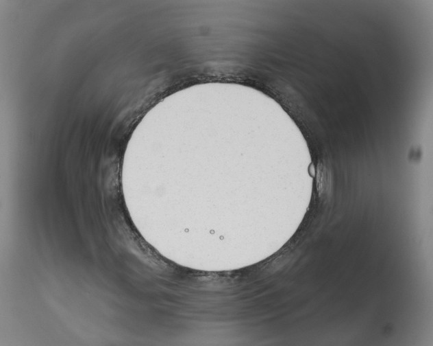 X0000112361107200909241119