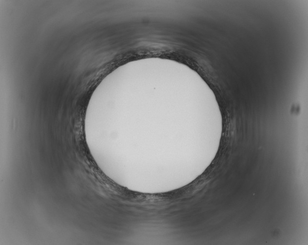 X0000112361109200909241119