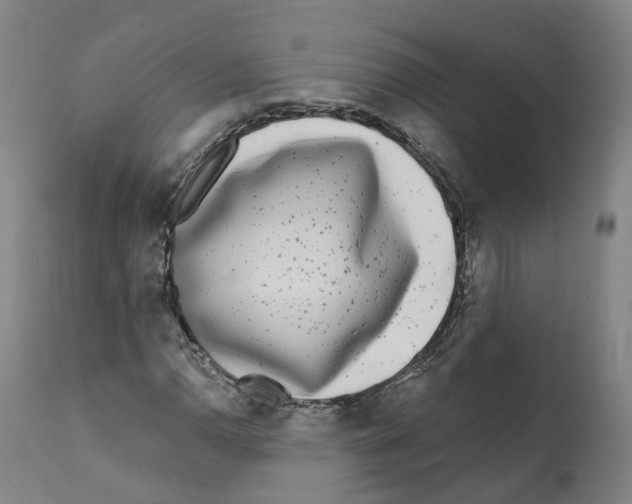 X0000112361110200909241119