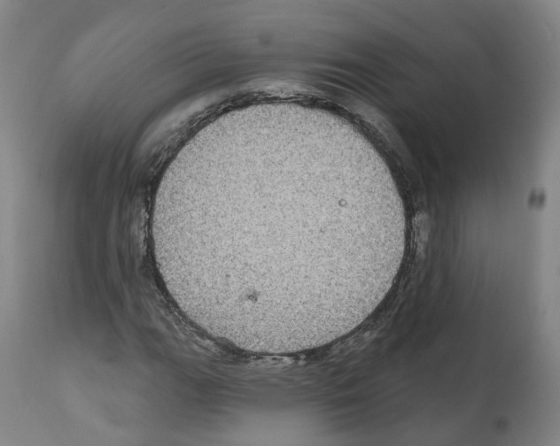 X0000112361111200909241119