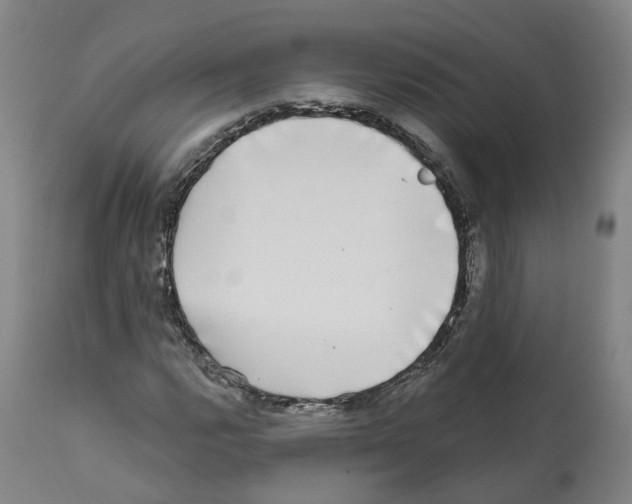 X0000112361112200909241119