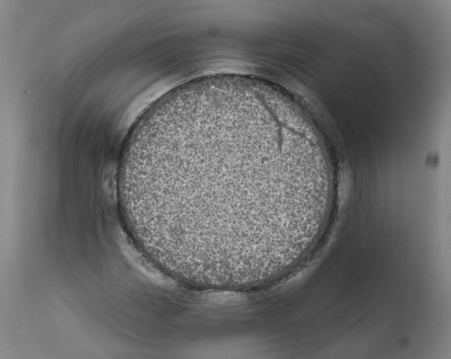 X0000112361113200909241119