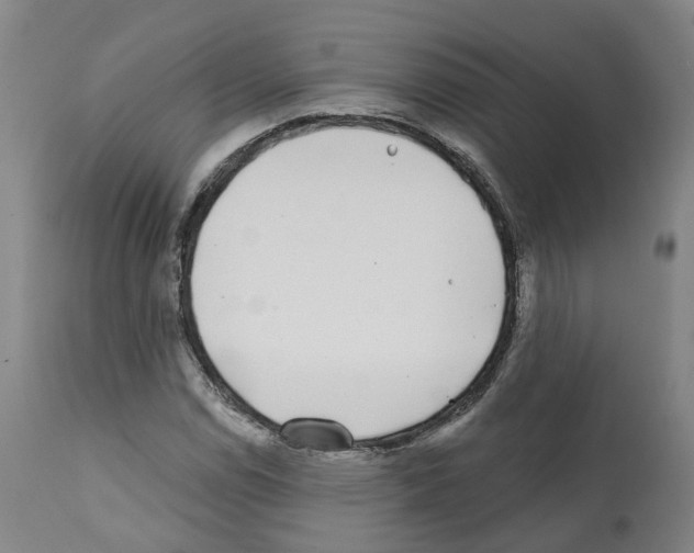X0000112361114200909241119
