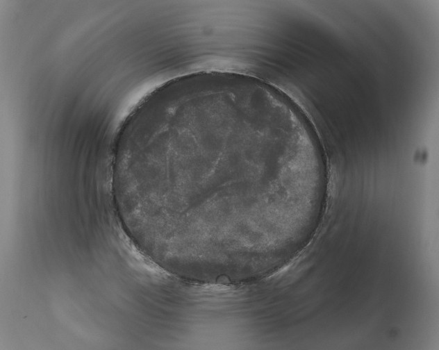 X0000112361115200909241119