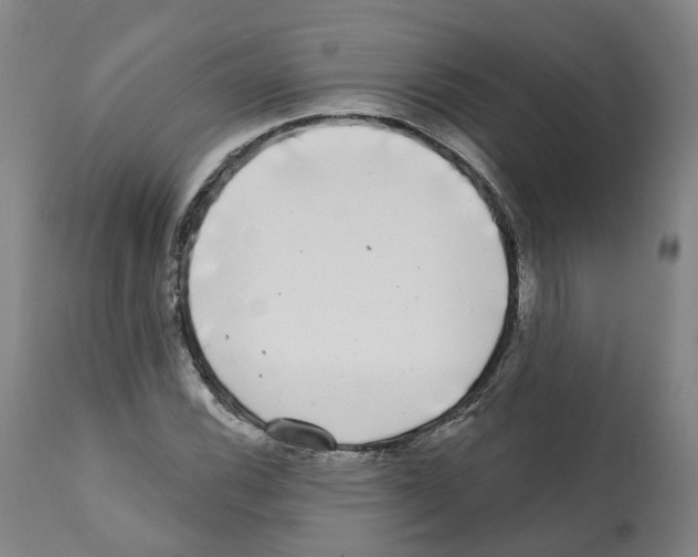 X0000112361116200909241119