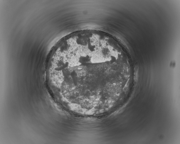 X0000112361117200909241119