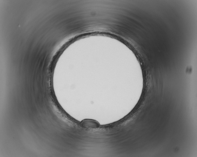 X0000112361118200909241119