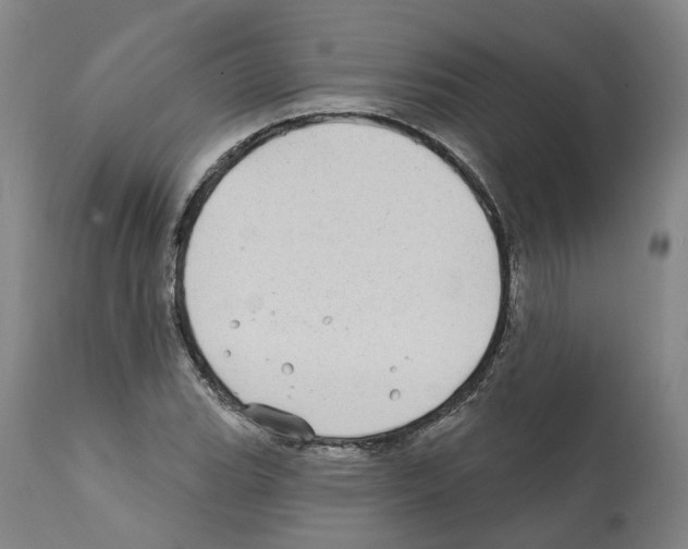 X0000112361119200909241119