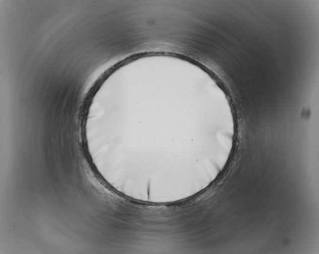 X0000112361120200909241119